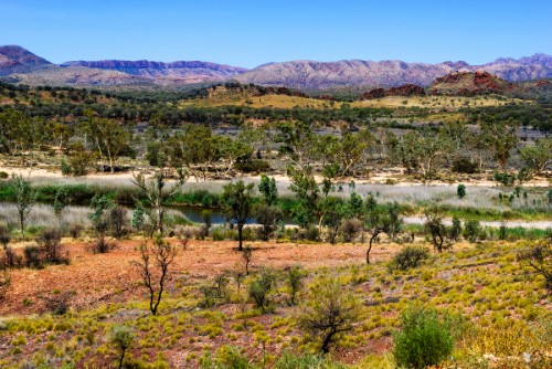 The Ghan