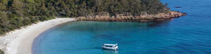 Screen Shot 2015-02-08 at 7.00.05 am