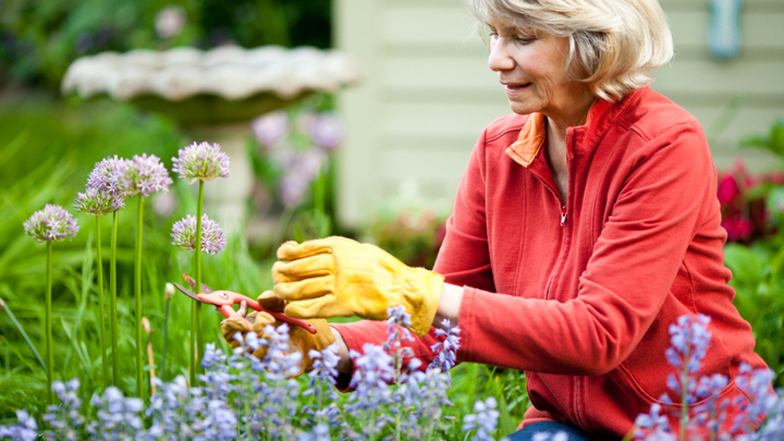 Save the planet with a garden