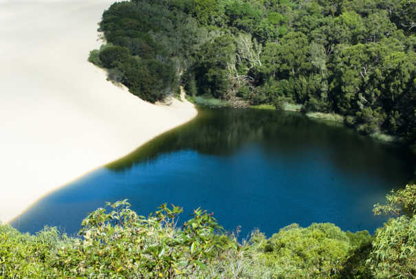 Great Walk Fraser Island shutterstock_94707538