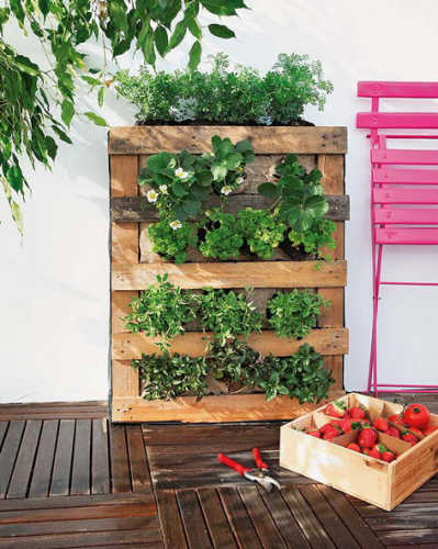 DIY_pallet_vertical_garden