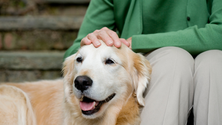 Why you should get a pet when you retire