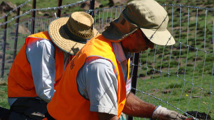 Retirement volunteering with BlazeAid