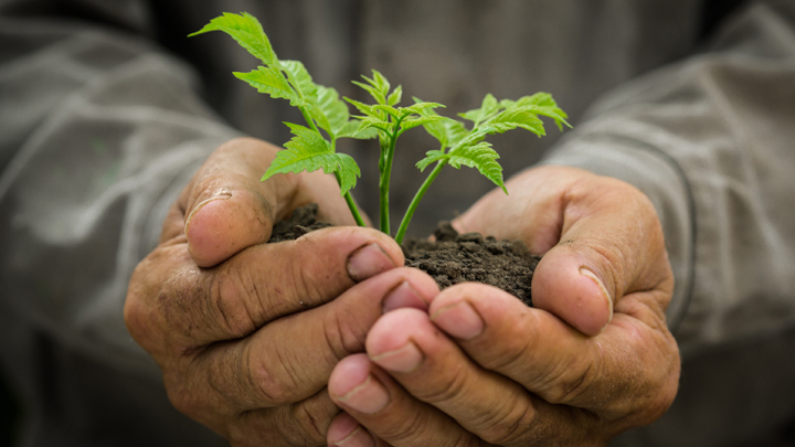 Climate change: Our gift to the grandkids