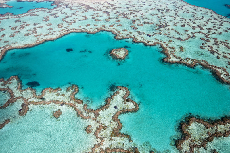 2greatbarrierreef