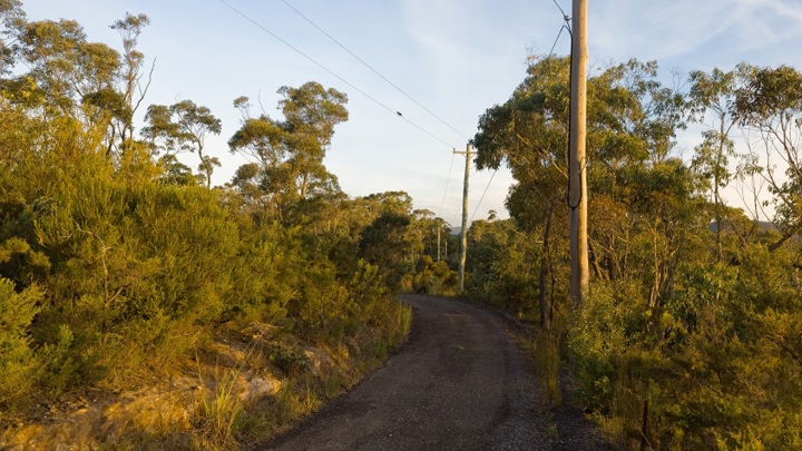 Rogue Nomads: Back on the road and out in the bush