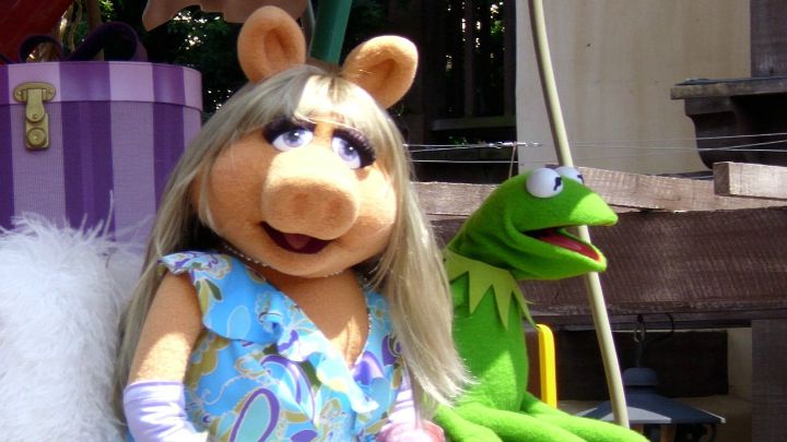 Kermit and Miss Piggy: Muppets Now should retire their relationship.