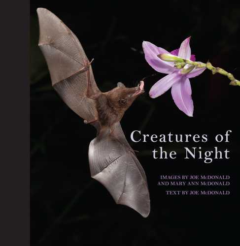 creatures-of-the-night