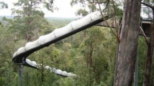 tassie slide in forrest