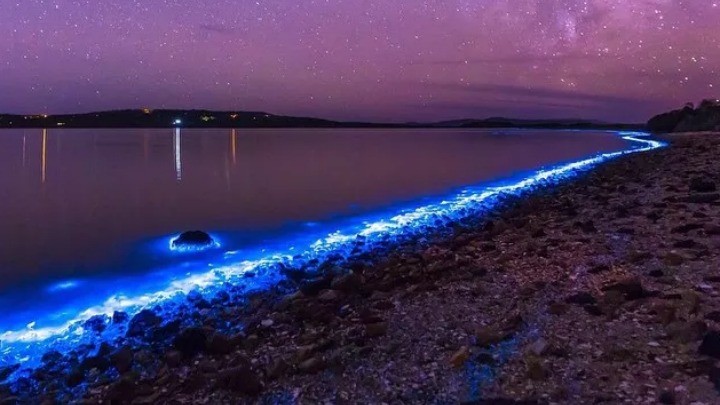 ocean glow tasmania