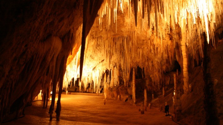 hastings cave tas