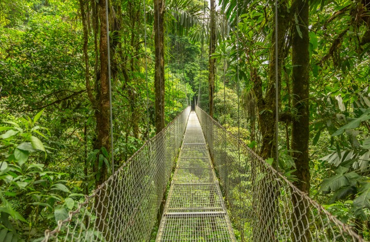 Take a walk on the wild side in Costa Rica. 