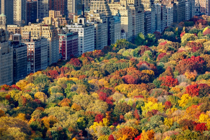 They say that nothing beats New York in the autumn. 