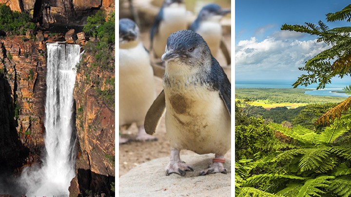 Which of these Aussie adventures are still on your bucket list ...