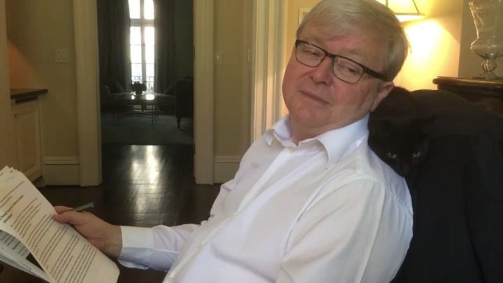 Kevin Rudd Bird Kevin Rudd talks to his cat, decides to share it with the world ...