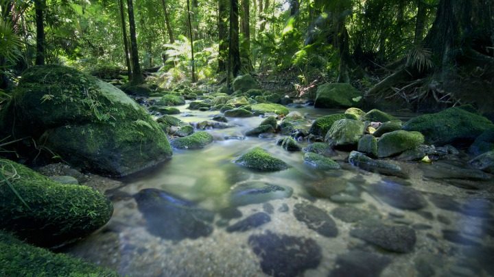 160529_Best-View_Mossman-Gorge