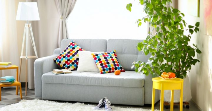 How To Clean Your Couch Without A Steam Cleaner Starts At 60 How To Clean Your Couch Without A Steam Cleaner Starts At 60