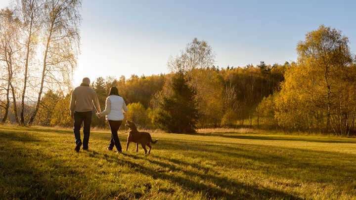 4 ways to take charge of your nest egg – with a little help