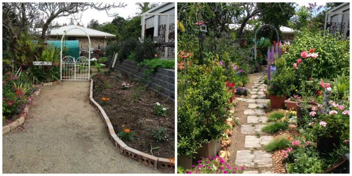 The garden three years ago and what it looks like today.