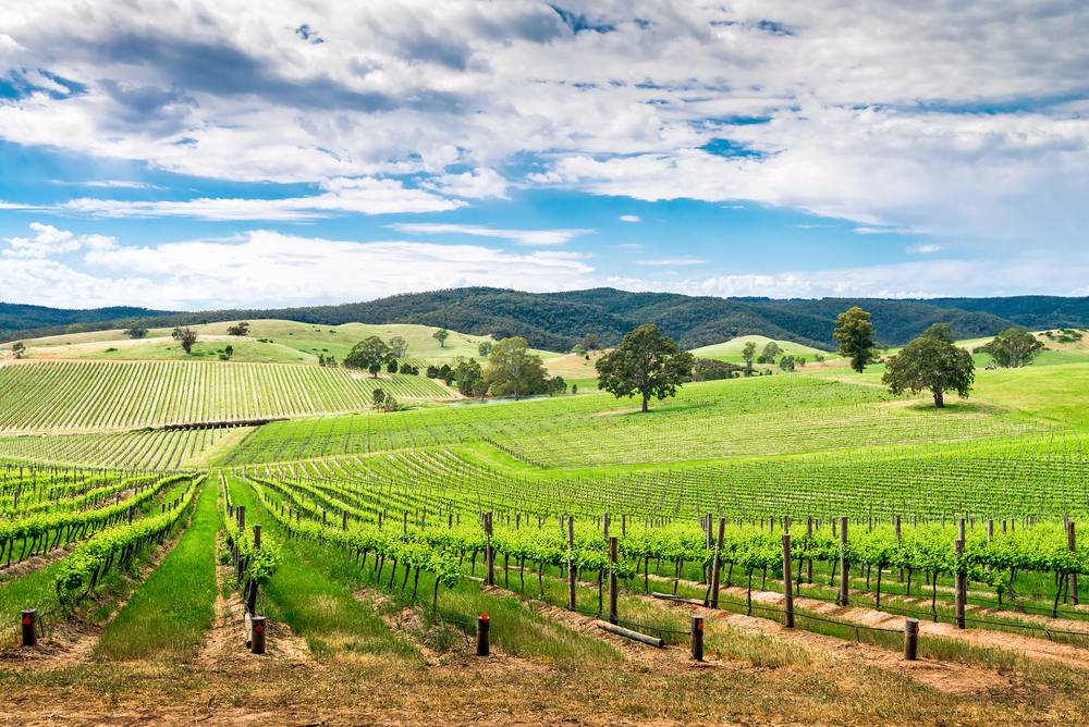 Best wineries in Australia