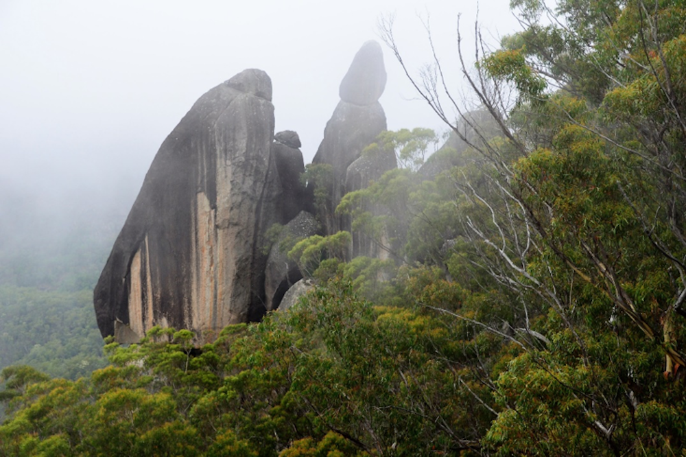 Gibraltar Range National Park