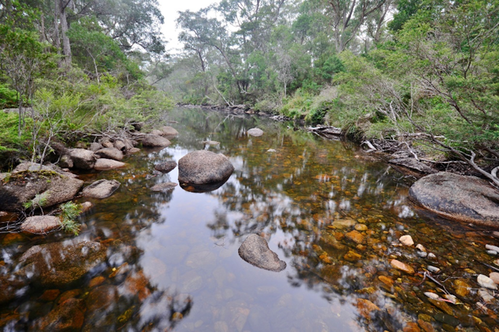 Gibraltar Range National Park