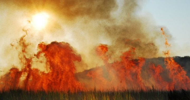 Burning sugar cane fields. 