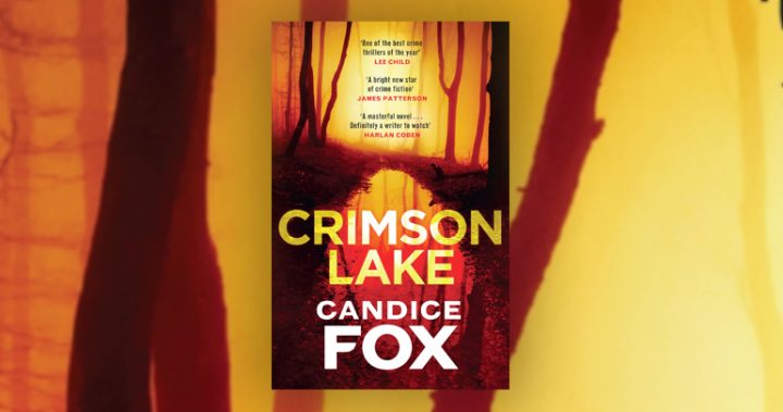 Crimson Lake: a tale of mystery and suspense in the steamy wetlands of Queensland