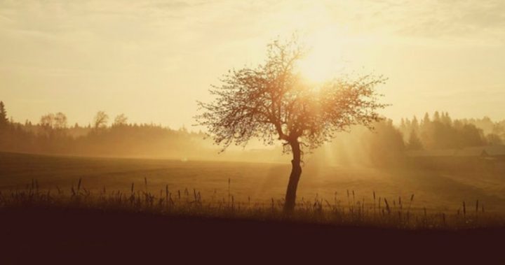 A crisp Autumn morning.