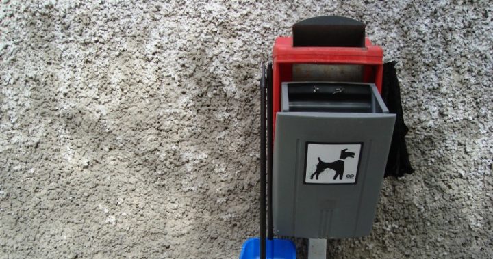 Dog owners to be fined $500 for not picking up their pet’s poo - Starts ...