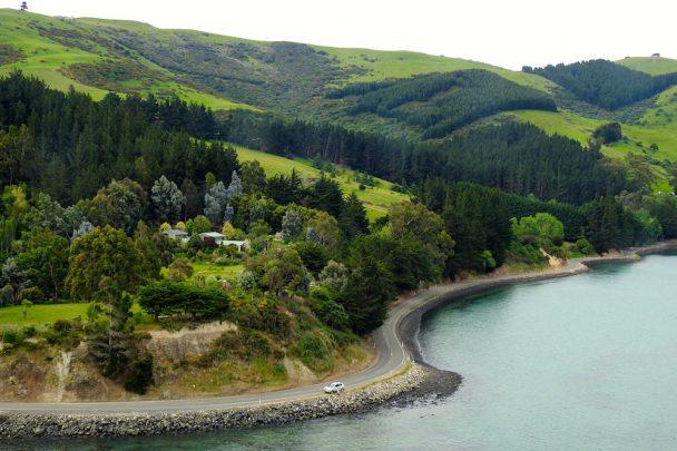 Let’s dock and drop into Dunedin