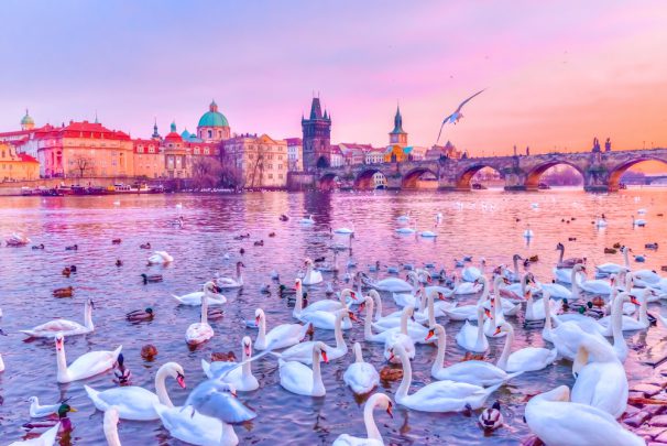 Prague holiday tips for travellers over 60