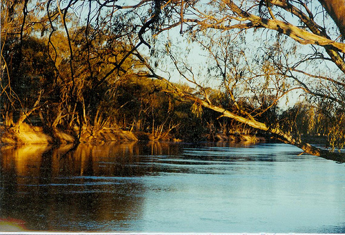 On the road with The Blue Arsed Fly: Streaky Bay to the Murray River