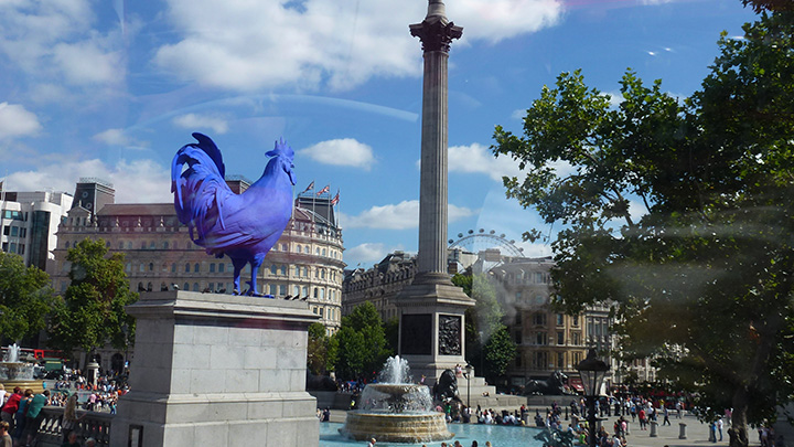 Trafalgar Square, Nelsons Column and the Cock