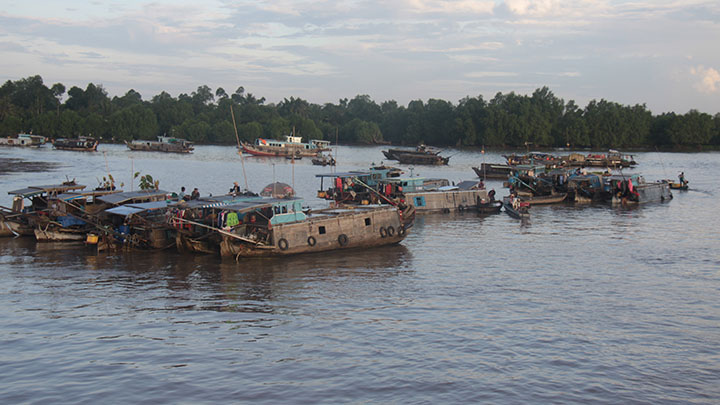 Cruising the Mekong Delta