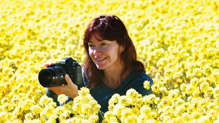 Have you seen Western Australia’s wildflowers up close?