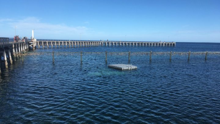 Moonta Bay Jetty, South Australia. Source: Barbara Easthope