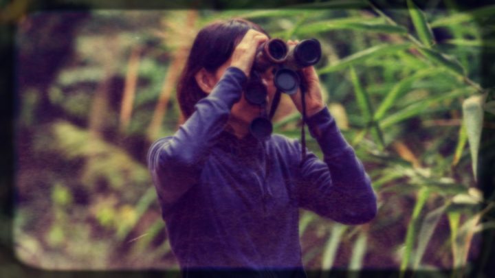 A chance encounter while travelling led this writer in search of the rare bird of Borneo. (Photograph posed by model) Source: Getty Images