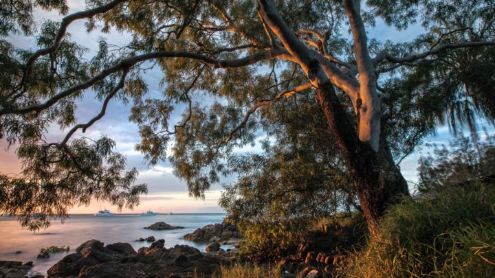 Graeme recently visited the Fraser Coast, the place where he grew up. Source: Getty Images