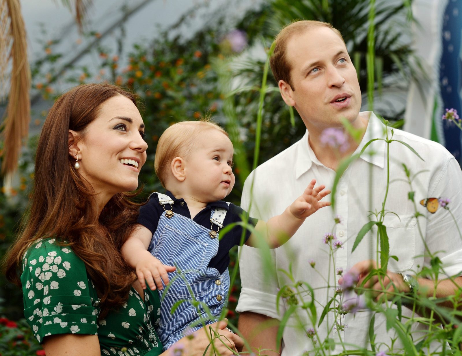 Prince George appeared enthralled by the butterflies. Source: Getty.