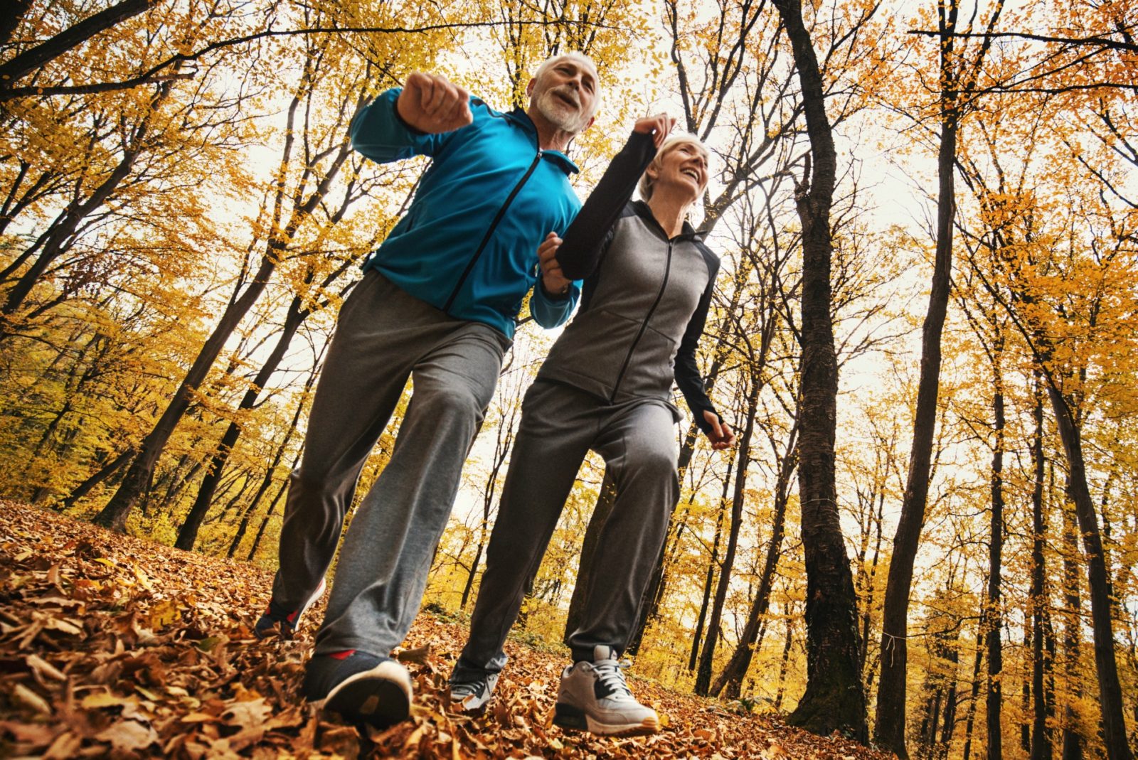 Old couple exercising