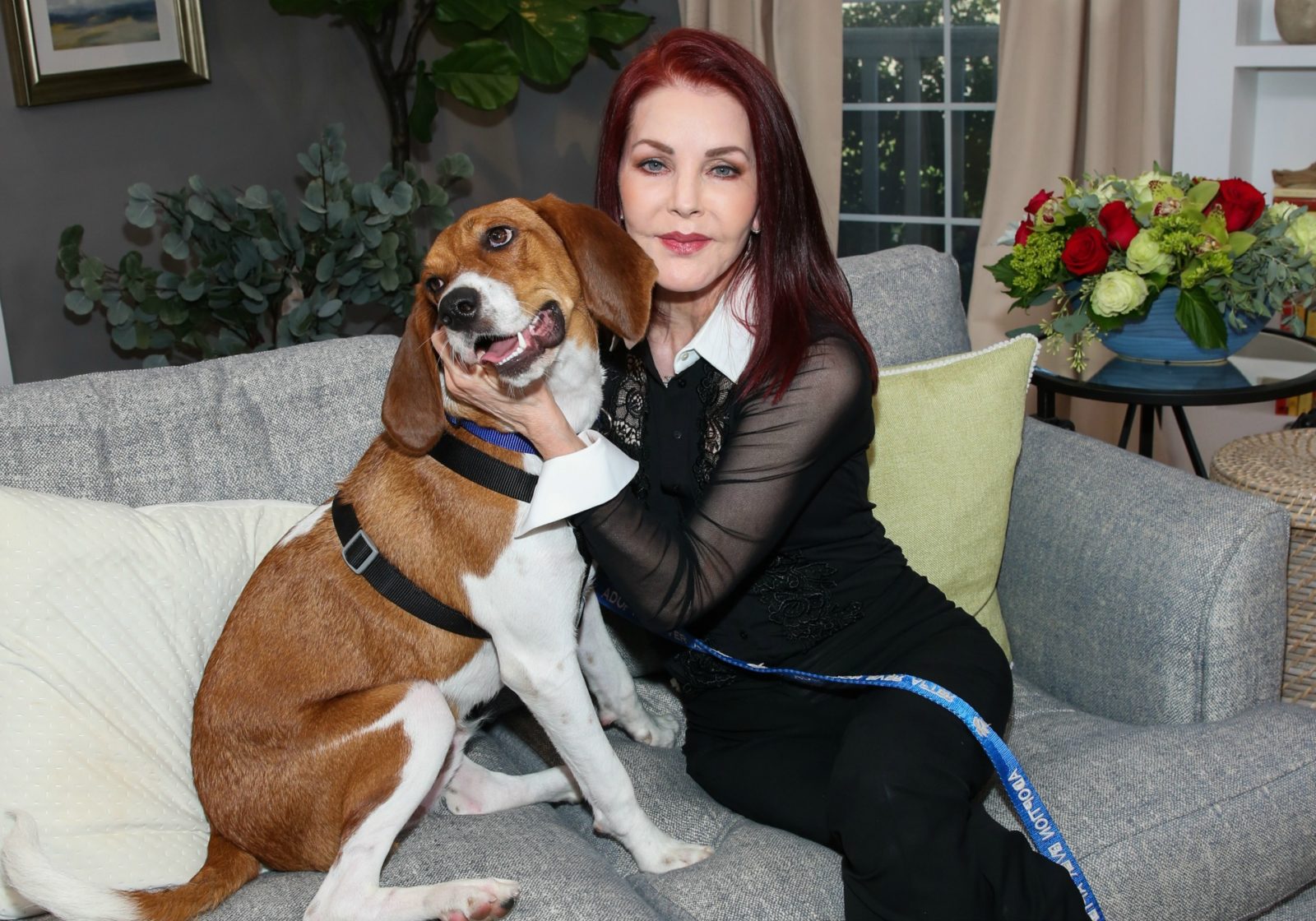 Priscilla Presley dog