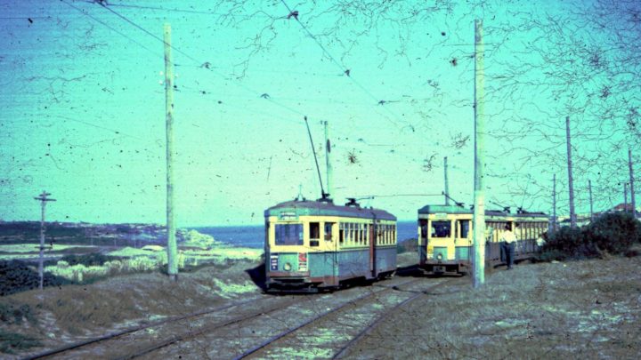 A tram on the La Perouse Line along Anzac Parade, Sydney. Source: Lindsay Bridge/Commons Wikimedia