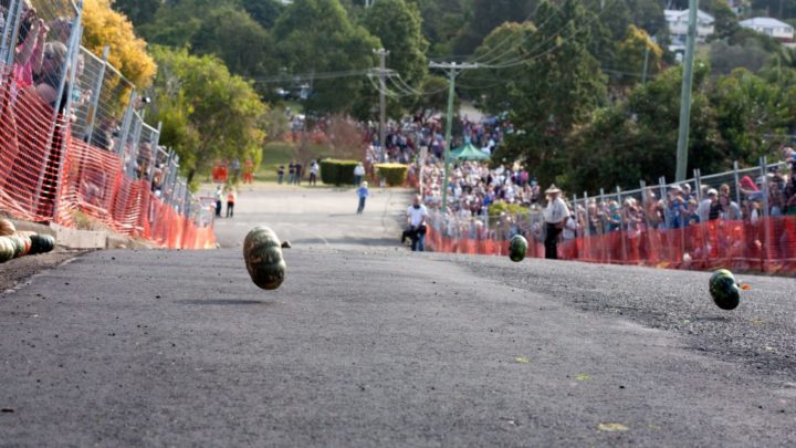 Goomeri Pumpkin Festival