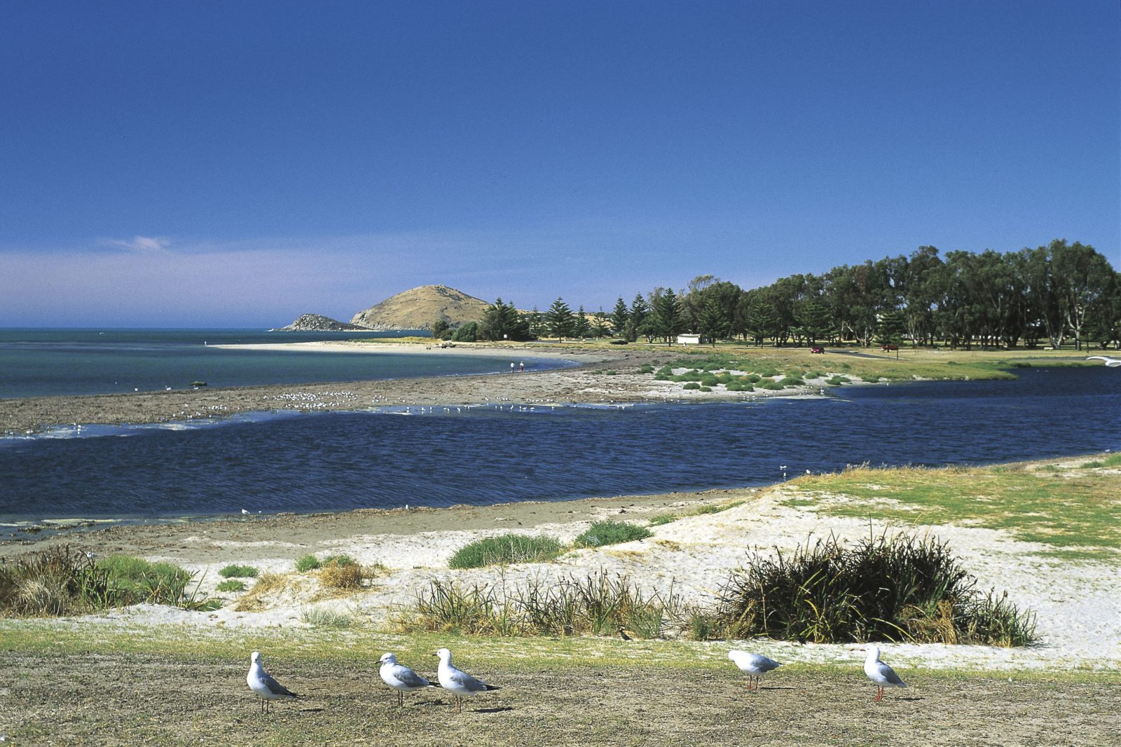 Victor-Harbor