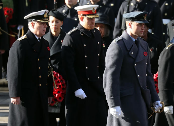 prince harry william andrew the cenotaph