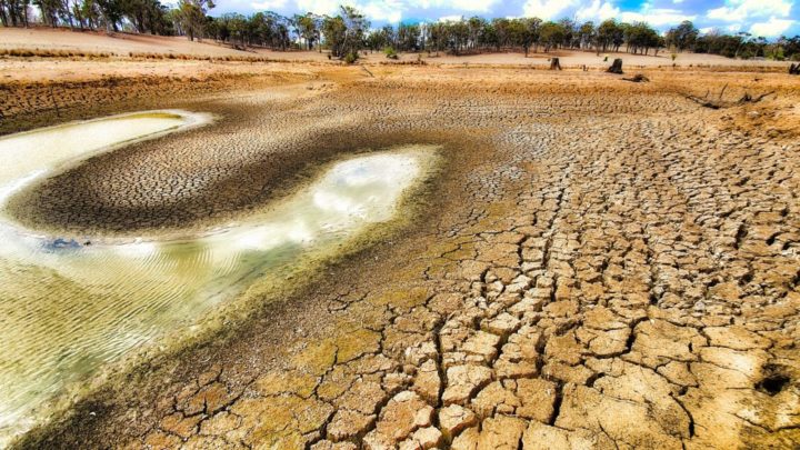 What's left of a dam at Uralla, New South Wales.