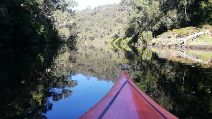 The view of the water from her kayak. Source: JD Kew