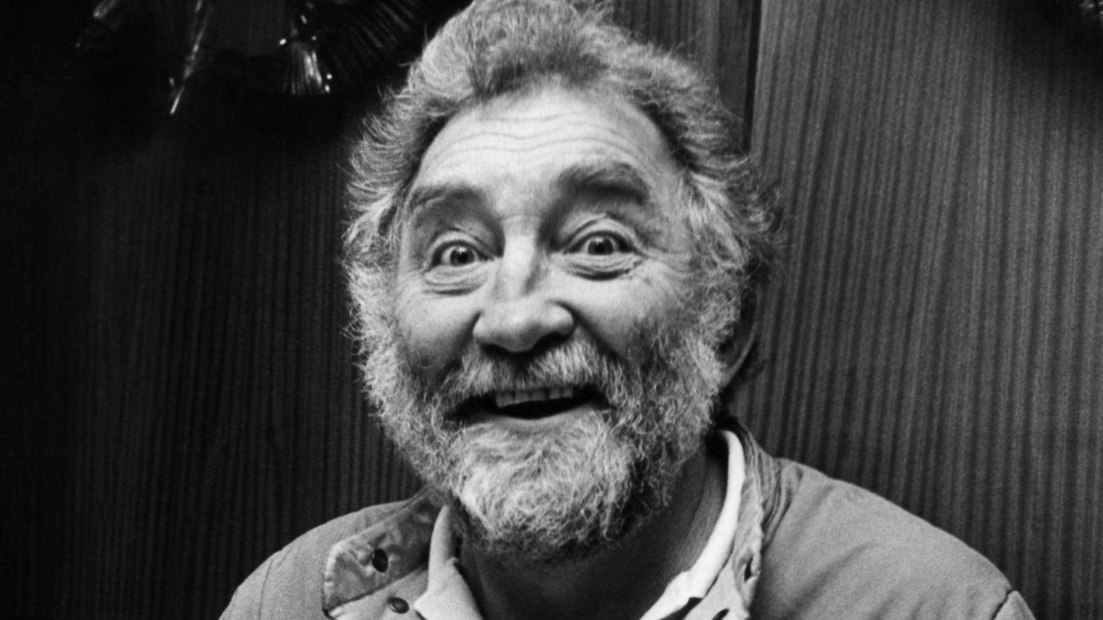 david bellamy net worth