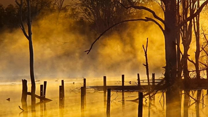 Wyaralong Dam